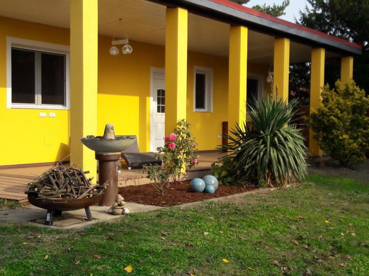 Bungalow At Lake Alte Donau Vienna Esterno foto